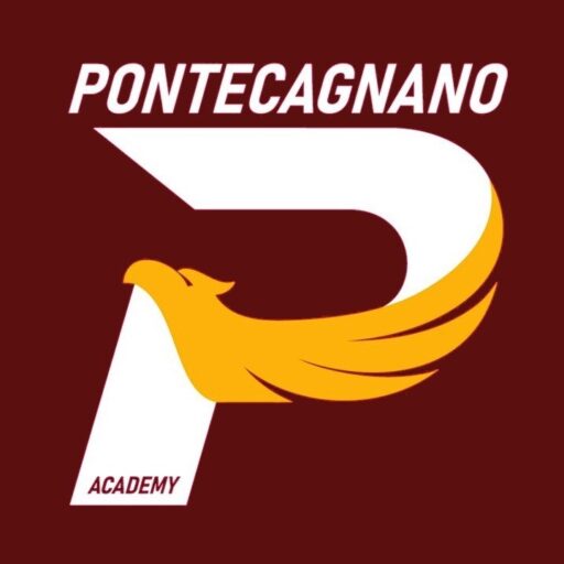 Pontecagnano Academy